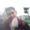知音的头像