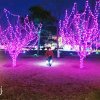 开心快乐/的头像