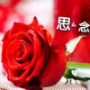 Qer的头像