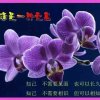我就在你身边，有你才幸福的头像