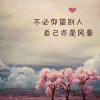 淡泊的头像