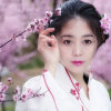 晚秋的头像