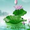 花开富贵的头像