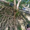春暖花开的头像