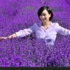 梦想的头像