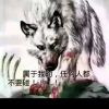 ☞孤狼☜的头像