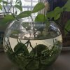 一帆风顺的头像