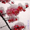 梦中冰心的头像