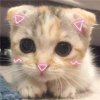 眼 的头像