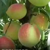 黄永飞的头像