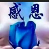 随缘‖的头像