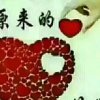 仅有一颗心，只存一个你我心飞翔的头像