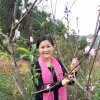 好好的头像
