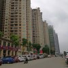 秀英(暂退)的头像