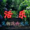 活乐的头像