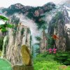 无无的头像