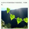 自己的事自己做的头像