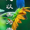 区别对待的头像