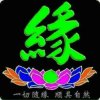 风花雪月的头像