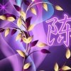 缘丽暂停的头像