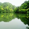 梦海的头像