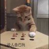 無阻的头像
