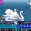 珍珠《不玩币》的头像
