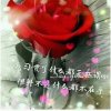 心想事成的头像