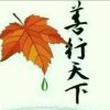 英姐的头像
