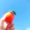 墨轩（退，回归原点）的头像