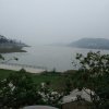 阳哥的头像