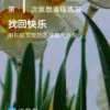 若有缘再相见的头像