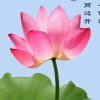 苇志的头像