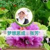 梦想思成张芳°的头像