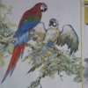 开心美声，传的头像