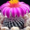 感悟的头像