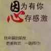 东圣的头像