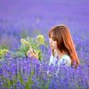 薰衣草的头像