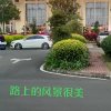海南☞勇叔的头像
