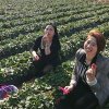 蓝涩的头像