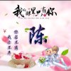 曾经以为……的头像