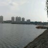 曾知的头像