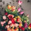 六瓣格桑花的头像