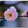 月若无情月常圆（与我互动吧）的头像