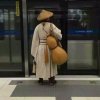 子非鱼的头像