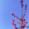 水木娃娃的头像