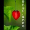 四季发财的头像