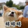 煙中の塵埃的头像