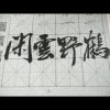 闲云野鹤的头像