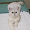 自由自在的头像